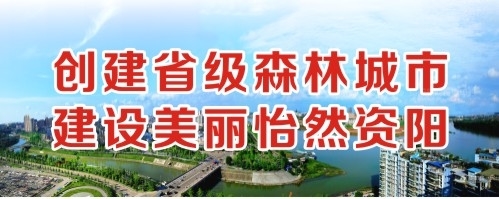 365操逼网创建省级森林城市 建设美丽怡然资阳