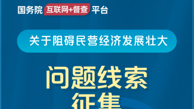 韩国人操B网视频国务院“互联网+督查”平台公开征集阻碍民营经济发展壮大问题线索